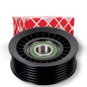 Compre Polia de desvio / de guia, correia trapezoidal estriada de FEBI BILSTEIN online para STREAM a preços moderados