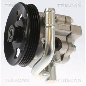 Compre Bomba de direção da TRISCAN 8515 21606 a um preço baixo por 177,26 €