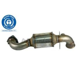 Katalysator 96 21 5006 von HJS günstig für 478,03 € online kaufen
