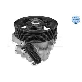 Achetez des Pompe de direction assistée MEYLE 31-14 631 0001 à prix pour 179,38 €