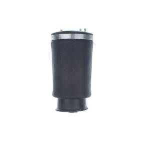 Compre Mola pneumática da DENCKERMANN DSA125G a um preço baixo por 121,04 €