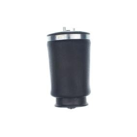 Compre Mola pneumática da DENCKERMANN DSA128G a um preço baixo por 121,04 €