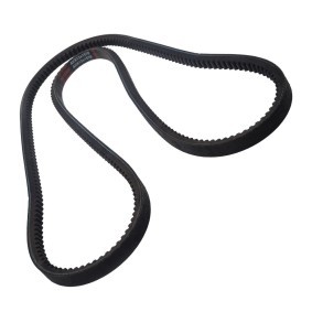 Compre Correia trapezoidal da MASTER-SPORT AVX-13X1570-PCS-MS a um preço baixo por 7,99 €