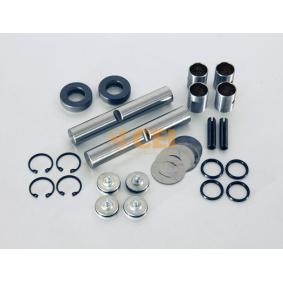 Comprar Juego de reparación, pivote del muñón del eje de CEI 230.120 a bajo precio de 168,23 €