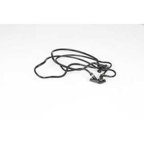 Comprar Tubería de combustible de BSG BSG 25-725-023 a bajo precio de 55,39 €