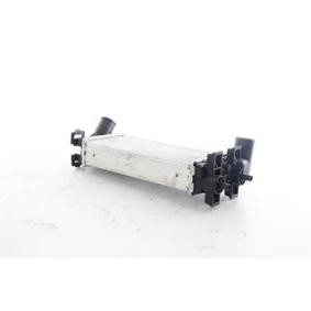 Kjøp Intercooler av BSG BSG 30-535-010 til den lave prisen 3396,55 NOK