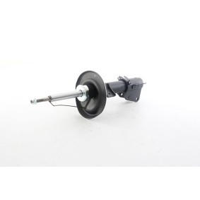 Comprar Amortiguador de BSG BSG 75-300-017 a bajo precio de 107,70 €