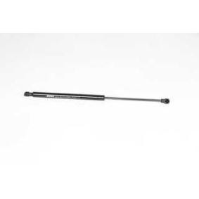 Osta Kaasujousi, takalasi BSG:llä BSG 75-980-006 edullisesti hintaan 42,80 €