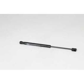 Osta Kaasujousi, tavaratila BSG:llä BSG 75-980-017 edullisesti hintaan 39,60 €