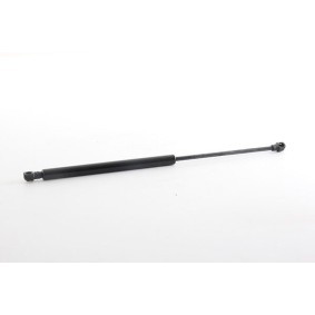 Osta Kaasujousi, tavaratila BSG:llä BSG 75-980-019 edullisesti hintaan 41,24 €