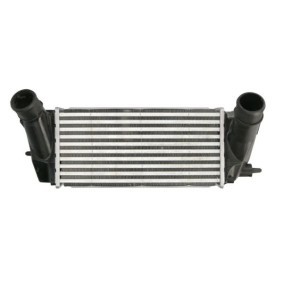 Ladeluftkühler DAG027TT von THERMOTEC günstig für 59,74 € online kaufen