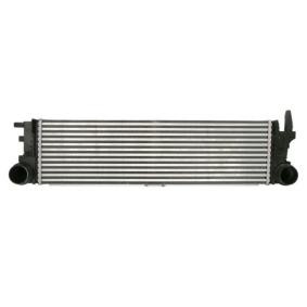 Compre Intercooler de THERMOTEC online para VITO Caixa (W447) a preços moderados