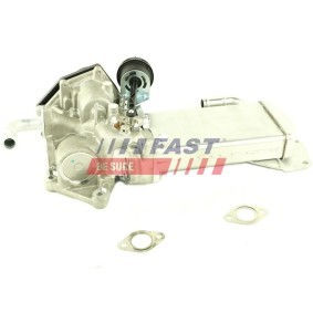 Köp EGR kylare av FAST FT60423 till det låga priset 3367,06 kr