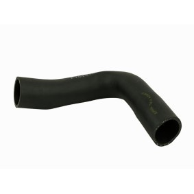 Compre Tubo flexível do ar de sobrealimentação da FAST FT61972 a um preço baixo por 45,49 €