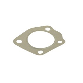 Acquista Guarnizione, Tubo gas scarico da FAST FT84808 a buon mercato per soli 3,26 €
