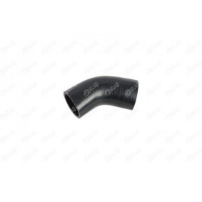 Acquista Tubo intercooler da IBRAS online per NV200 / Evalia Bus a prezzi moderati