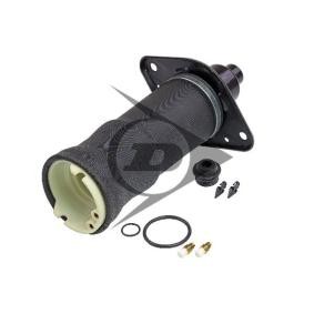 Compre Mola pneumática da AIC 71049 a um preço baixo por 448,15 €