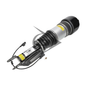 Luftfederbein 71191 von AIC günstig für 1308,78 € online kaufen