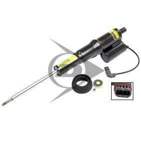 Luftfederbein 71201 von AIC günstig für 743,72 € online kaufen