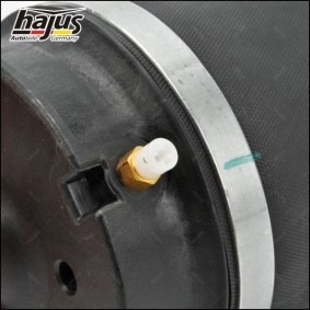 Acquista Radiatore olio motore da hajus Autoteile 1211112 a buon mercato per soli 67,98 €