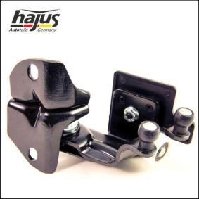 Comprar Guía rodillo, puerta corrediza de hajus Autoteile 8431093 a bajo precio de 33,37 €