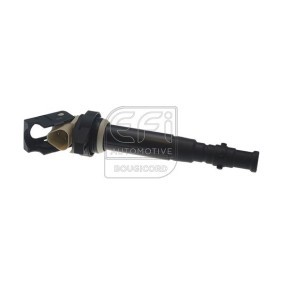 Acquista Bobina d'accensione da EFI AUTOMOTIVE 155517 a buon mercato per soli 189,78 €
