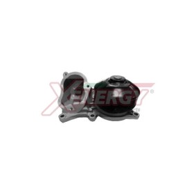 Acquista Pompa acqua da AP XENERGY X208052 a buon mercato per soli 100,03 €