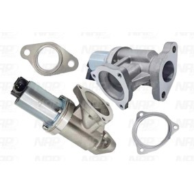 Comprar Válvula EGR de NAP carparts CPA13044 a bajo precio de 157,34 €