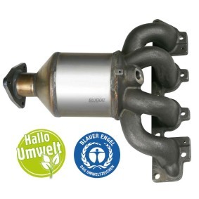 Compre Catalisador da BLUEKAT 22305021 a um preço baixo por 473,45 €