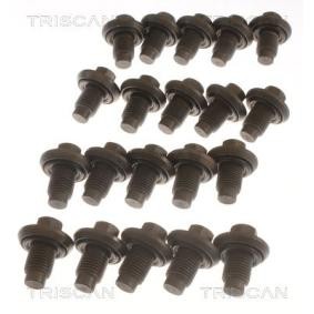 Verschlußschraube, Ölwanne 9500 1009-20 von TRISCAN günstig für 4,64 € online kaufen