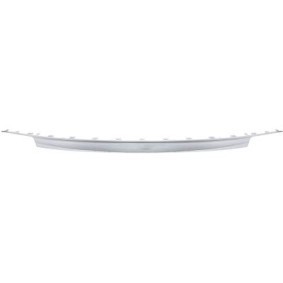 Compre Embellecedor de parachoques de DIEDERICHS online para 500e a precios moderados