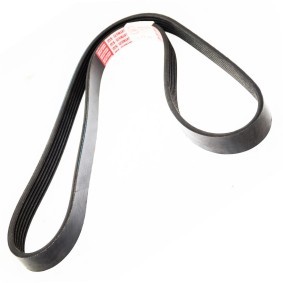Keilrippenriemen 6PK1160-PCS-MS von MASTER-SPORT günstig für 8,52 € online kaufen