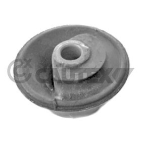Comprar Suspensión, cuerpo del eje de CAUTEX 750703 a bajo precio de 57,57 €