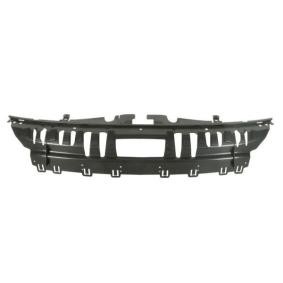 Achetez des Renfort de pare-chocs (traverse) BLIC 5502-00-2596941P à prix pour 88,05 €