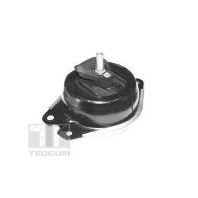 Motorlager TED40414