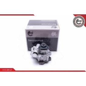 Compre Bomba de direção da ESEN SKV 10SKV305 a um preço baixo por 113,77 €