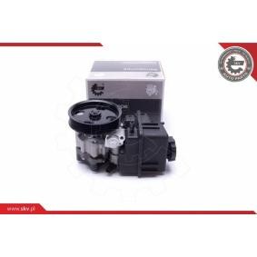 Compre Bomba de direção da ESEN SKV 10SKV307 a um preço baixo por 366,08 €