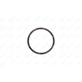 Comprar Junta anular, conducto aire admisión de IBRAS 14729 a bajo precio de 3,92 €