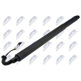 Compre Amortiguador de maletero de NTY online para 5 Gran Turismo (F07) a precios moderados