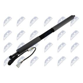 Compre Amortiguador de maletero de NTY online para 3 Gran Turismo (F34) a precios moderados