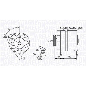 Kühler, Motorkühlung 350213773000 von MAGNETI MARELLI günstig für 298,77 € online kaufen