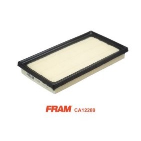Acquista Filtro aria da FRAM CA12289 a buon mercato per soli 24,65 €