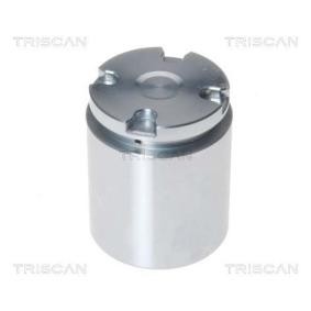 Compre Êmbolo, pinça do travão da TRISCAN 8170 233882 a um preço baixo por 22,93 €