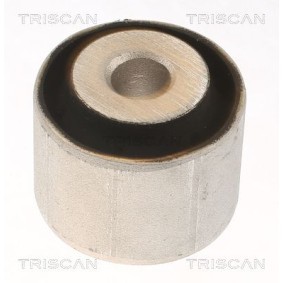 Compre Suspensão, braço oscilante da TRISCAN 8500 238029 a um preço baixo por 12,60 €