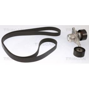 Keilrippenriemensatz 8642 10046 von TRISCAN günstig für 161,90 € online kaufen