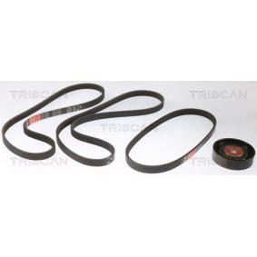 Keilrippenriemensatz 8642 18008 von TRISCAN günstig für 117,21 € online kaufen