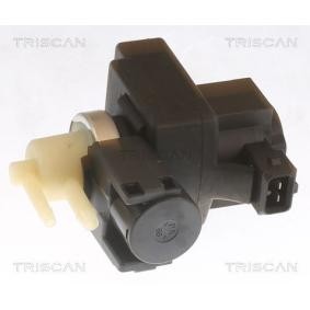 Acquista Convertitore pressione, Controllo gas scarico da TRISCAN 8813 43053 a buon mercato per soli 73,56 €