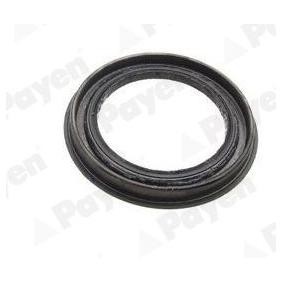 Comprar Anillo retén, cubo de rueda de PAYEN NJ695 a bajo precio de 6,23 €