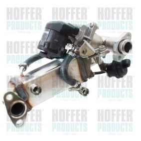 Compre Módulo RGE (recirculação dos gases de escape) da HOFFER 7518774 a um preço baixo por 956,62 €