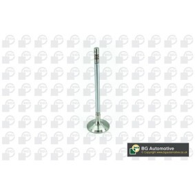 Einlaßventil V200074 von BGA günstig für 8,10 € online kaufen